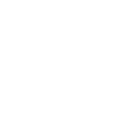 Intervention discrète et rapide